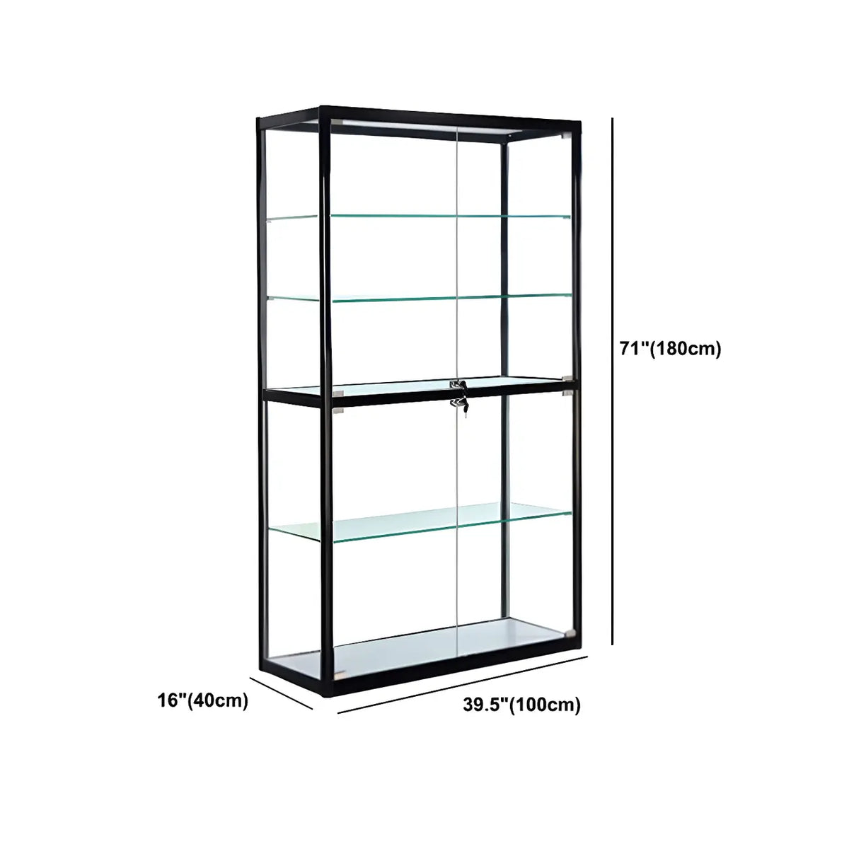 Contemporary Rectangular Black Glass Curio Cabinet